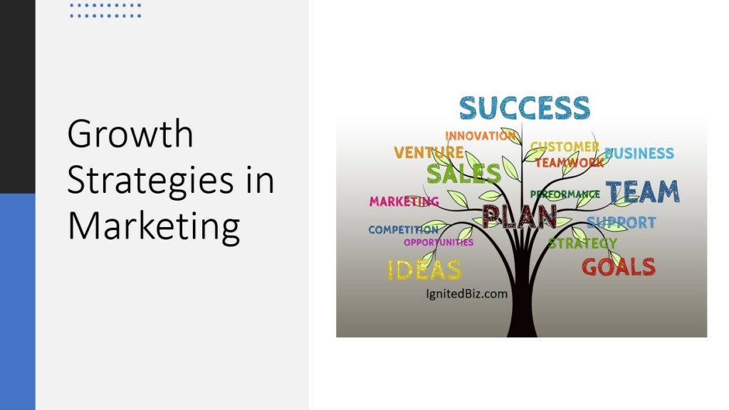 growth strategies in marketing